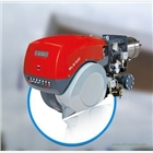 RS100.意大利利雅路燃?xì)馊紵?/></span></a><p><a href=